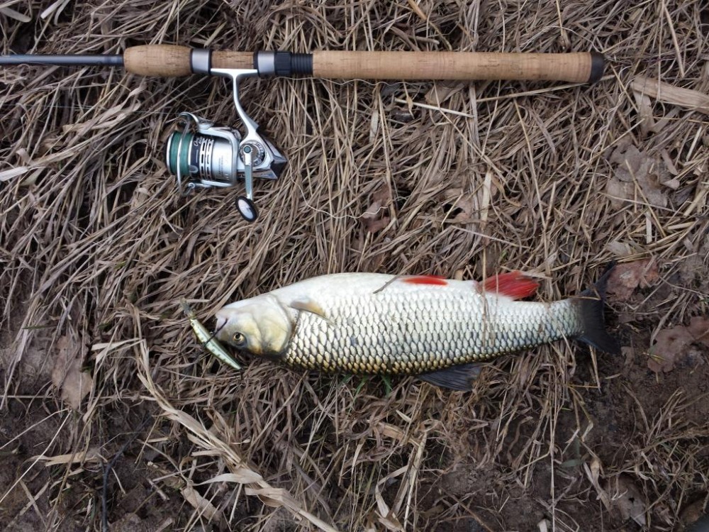 20150329_181307.jpg