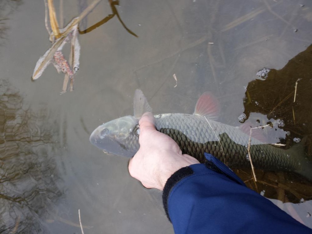 20150329_181613.jpg