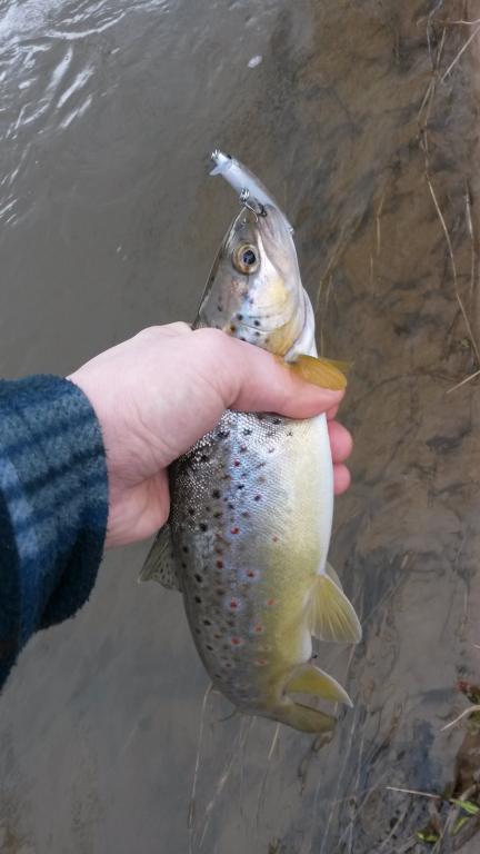 20150404_120220.jpg