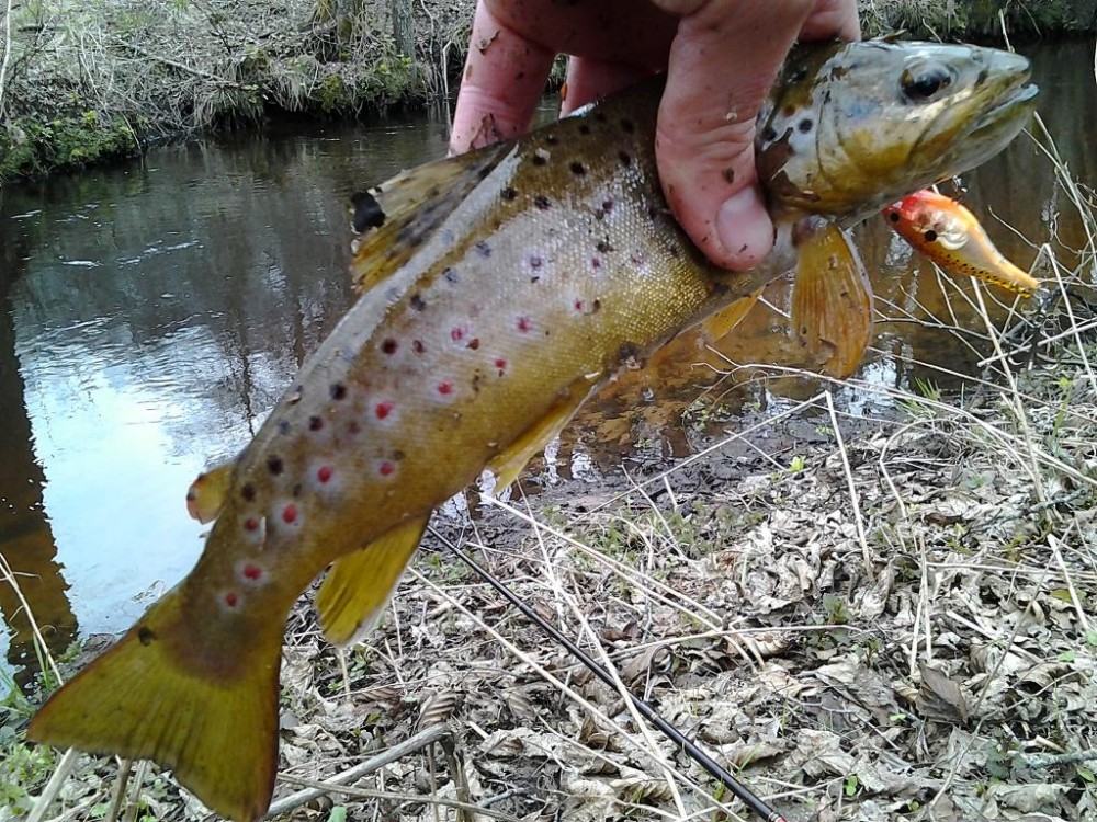 20150407_165059.jpg