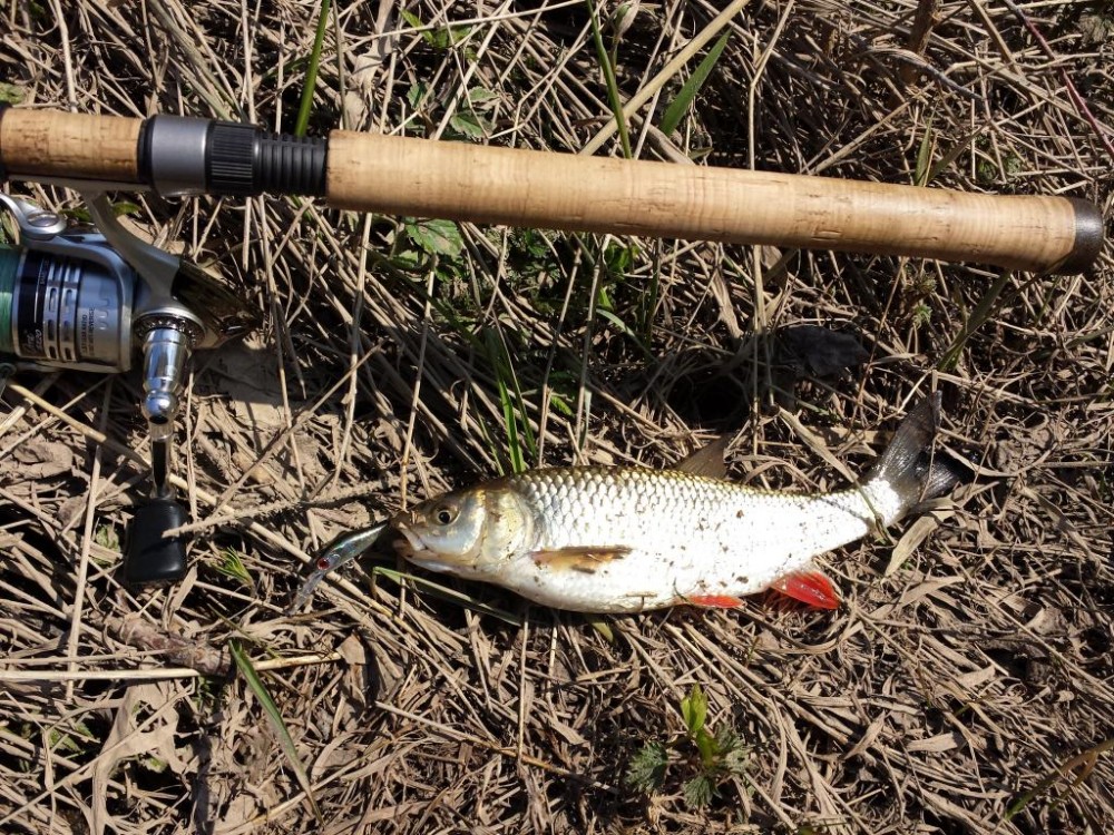 20150411_144314.jpg