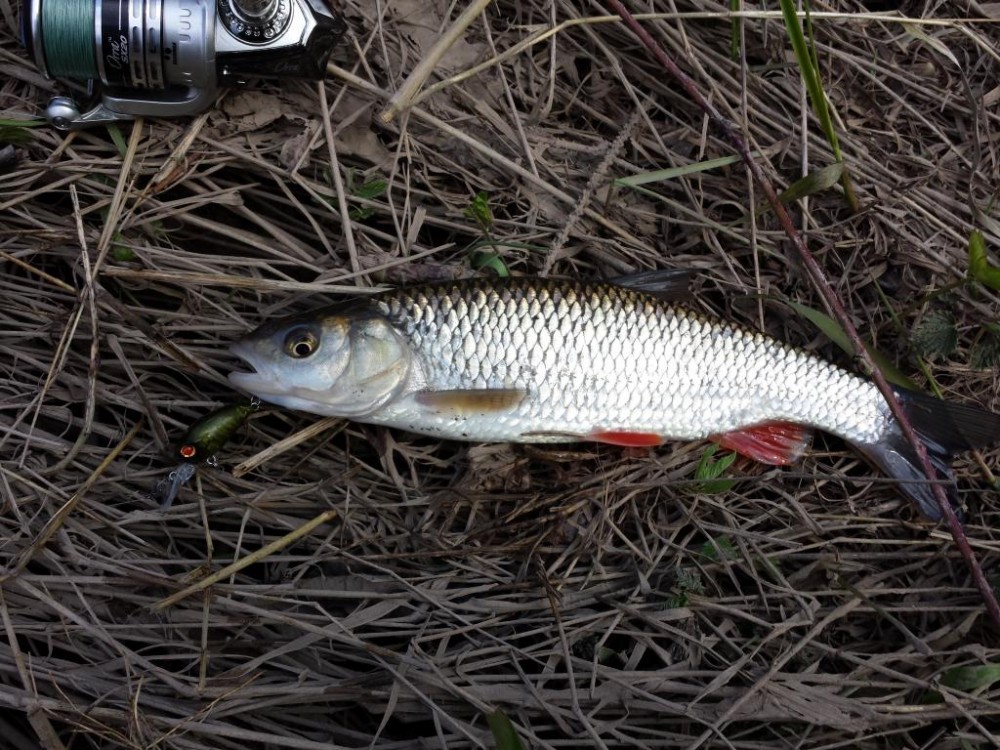 20150411_165348.jpg