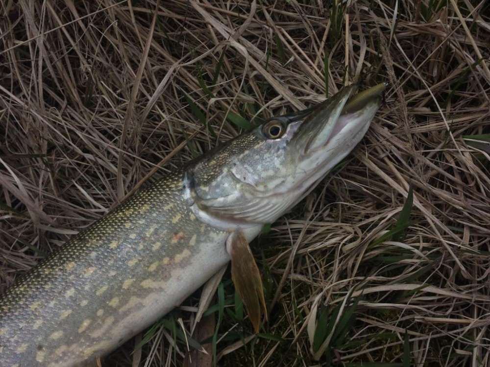 20150421_133514.jpg