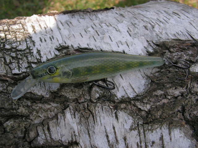PICT0023.JPG