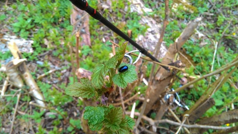 P_20150426_133715.jpg