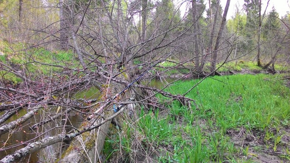 P_20150502_101612.jpg