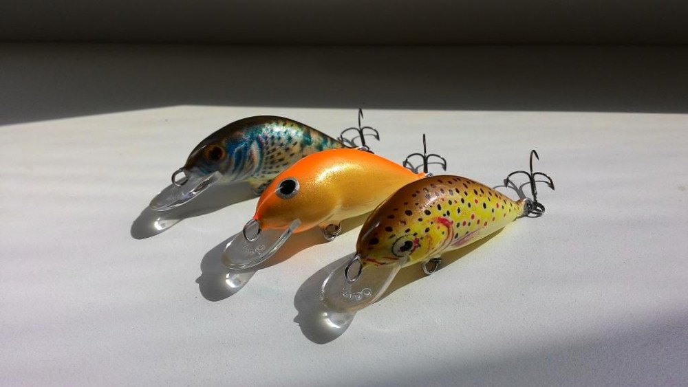 P_20150503_115346.jpg