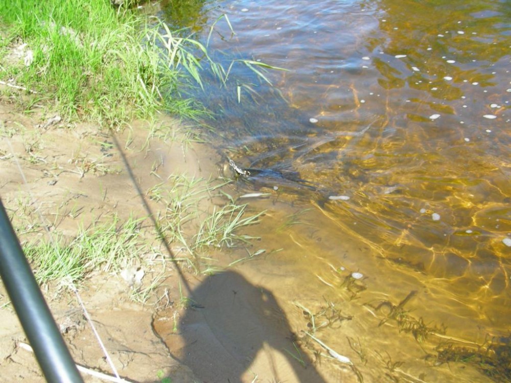 DSCN6212.JPG