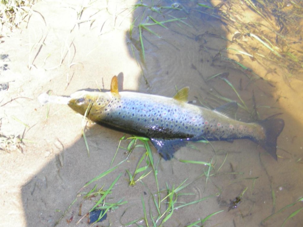 DSCN6213.JPG