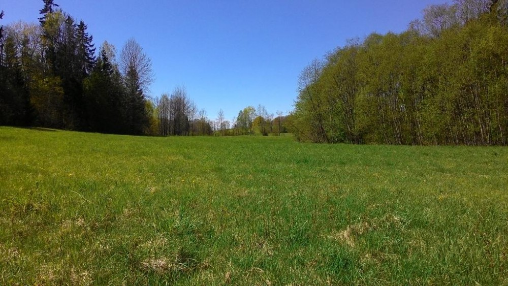 P_20150509_123752.jpg