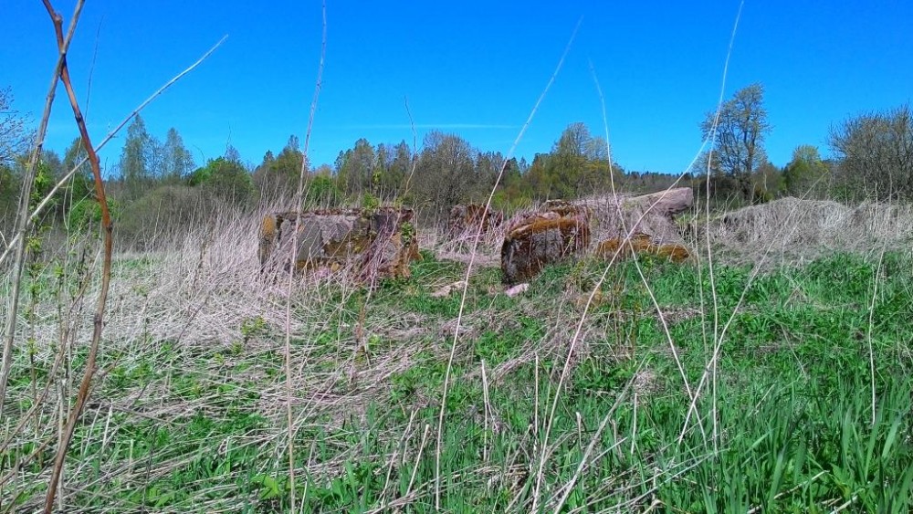 P_20150509_125000.jpg