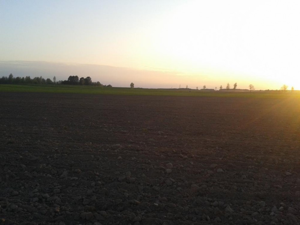 2015.05.11 055.jpg
