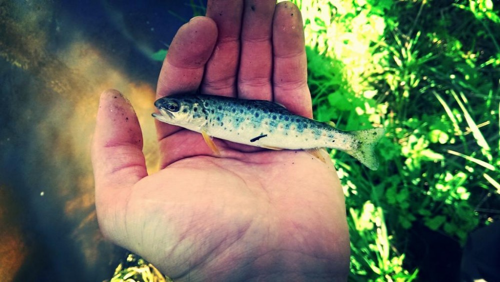 2015-05-12_22.23.58.jpg