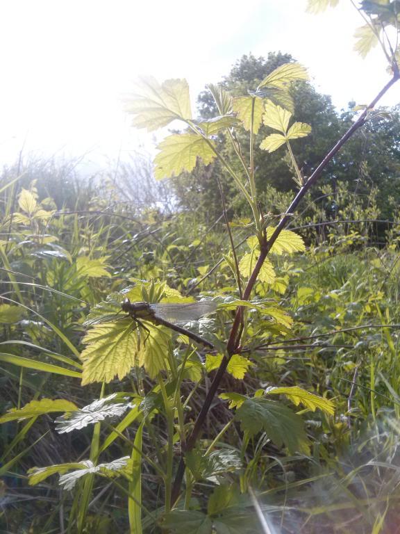 CAM00848.jpg