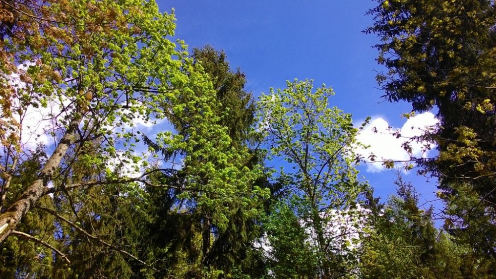 P_20150516_151521.jpg