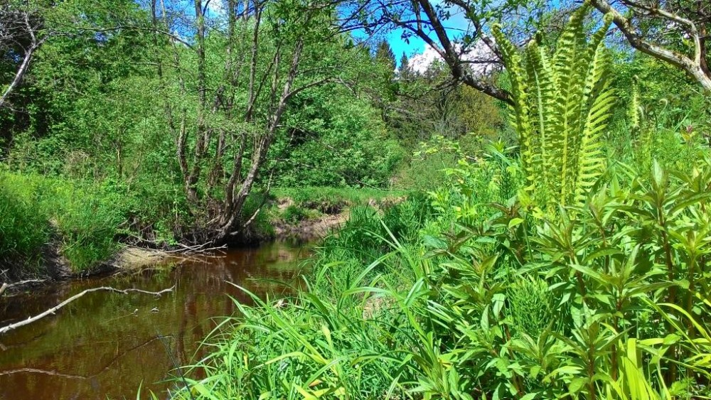 P_20150516_135746.jpg
