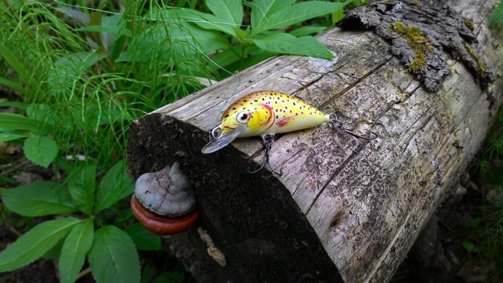 P_20150516_180931.jpg