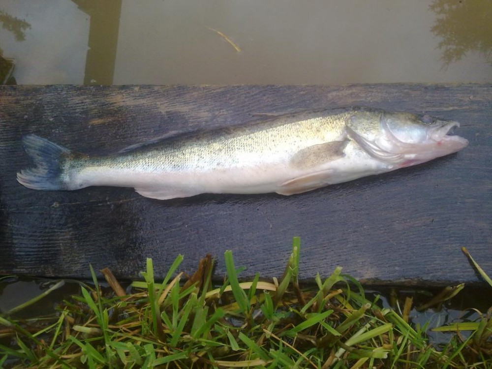 20150522600.jpg