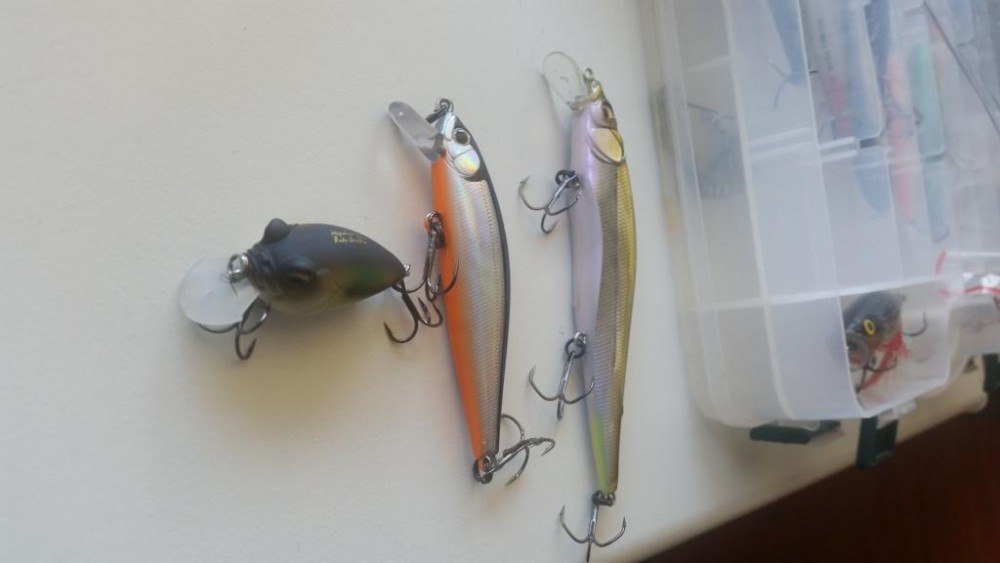 20150528_125224[1].jpg
