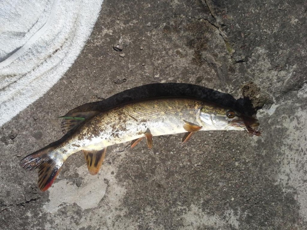 20150529_105851.jpg