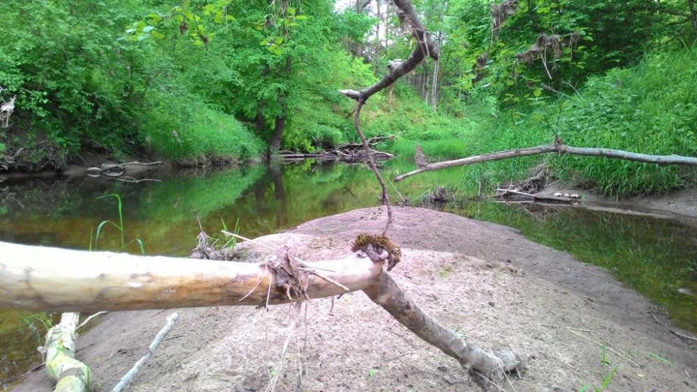 P_20150530_080629.jpg