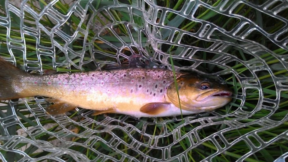P_20150530_084541.jpg