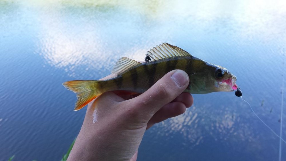 20150616_145145_1.jpg