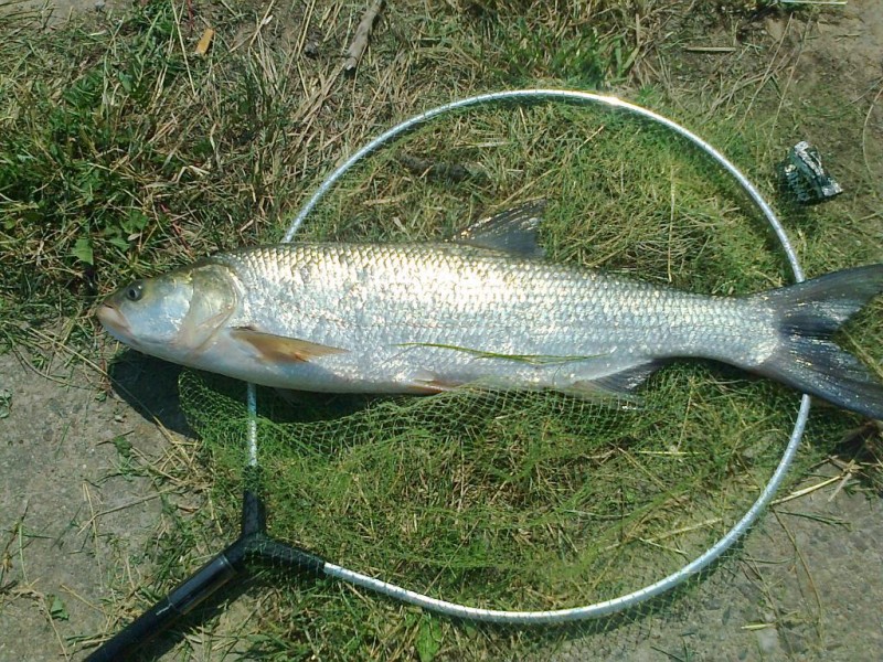 Nuotrauka0404.jpg