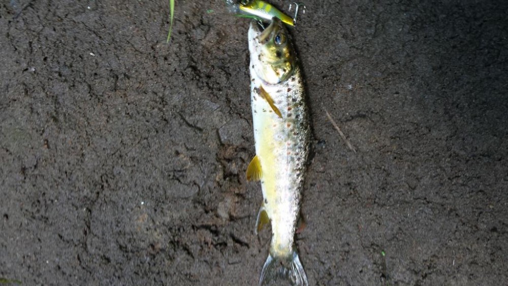 20150628_101734[1].jpg