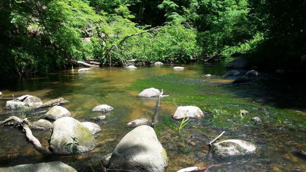 20150628_120954[1].jpg