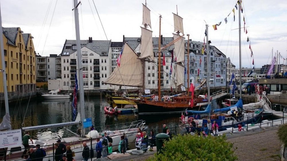 DSC_0919.JPG