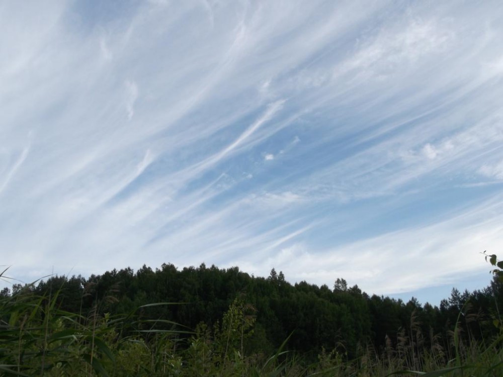 DSCF3739.jpg