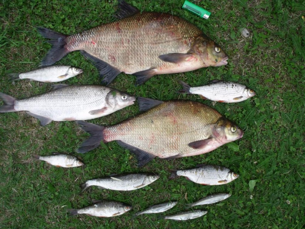 26.07.2015.jpg