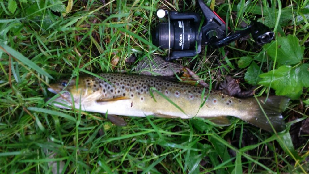 20150724_062555.jpg