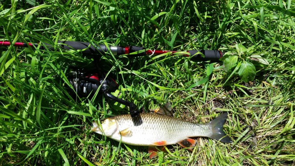 20150628_122337.jpg