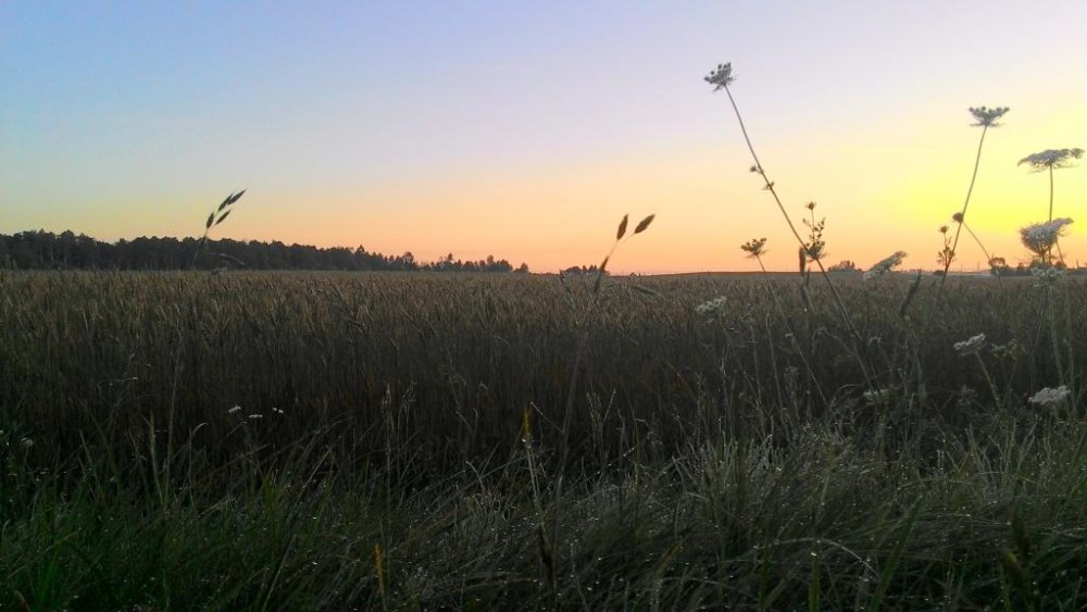P_20150802_054855.jpg