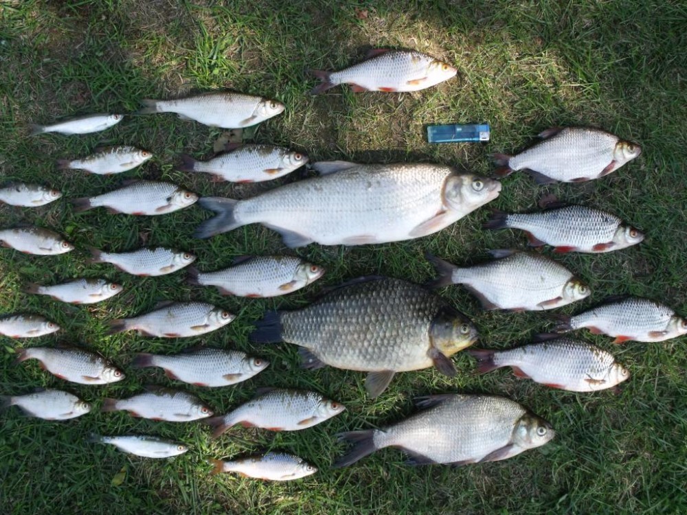 03.08.2015 002.jpg