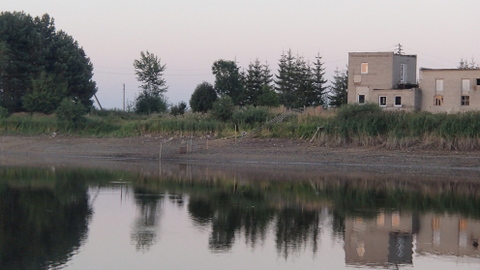 P8111771.JPG