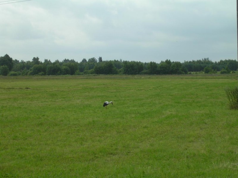 PICT0242.JPG