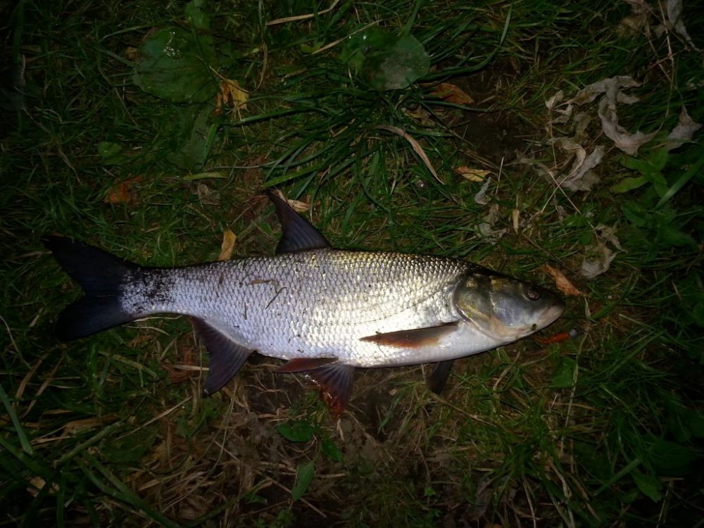 20150827_200007.jpg