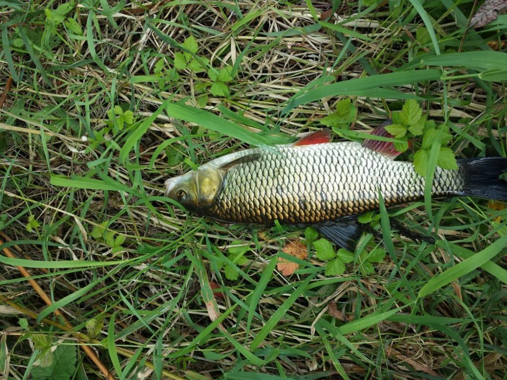 20150830_125156.jpg