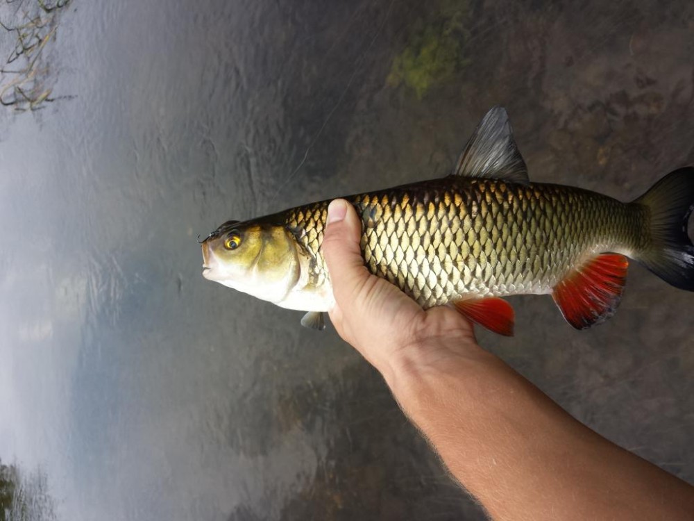 20150830_154220.jpg