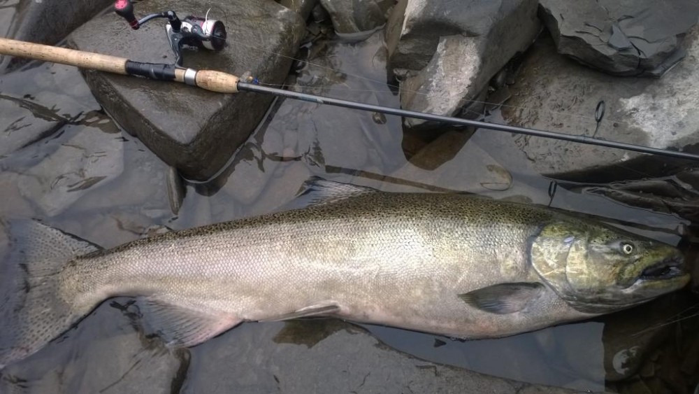 WP_20150902_001.jpg