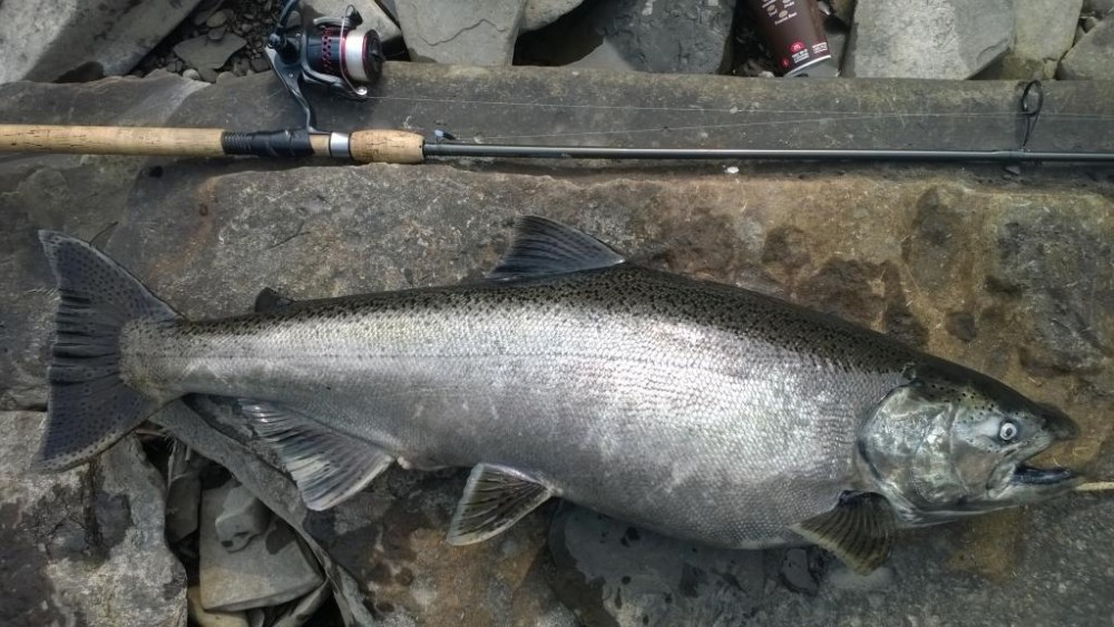 WP_20150902_007.jpg