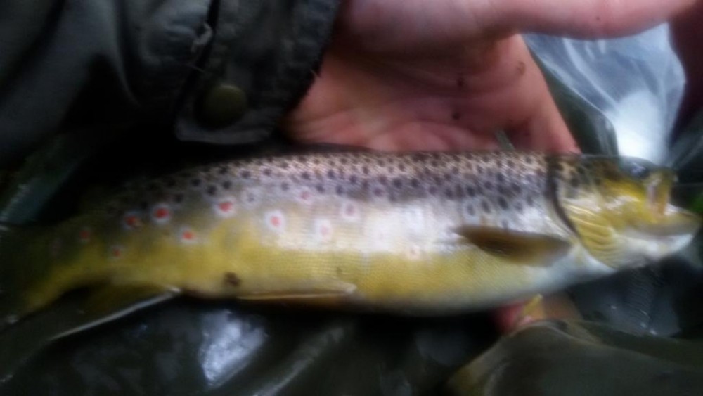 20150909_112955.jpg