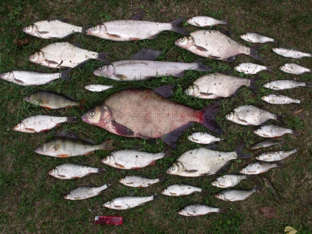 13.09.2015 002.jpg