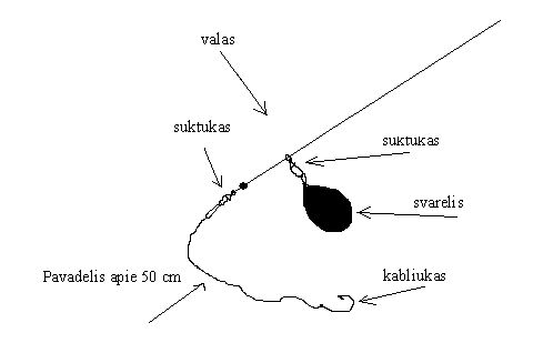 vegeliusistemele2fz7.jpg