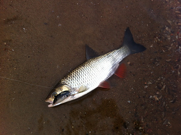 photo 2.jpg