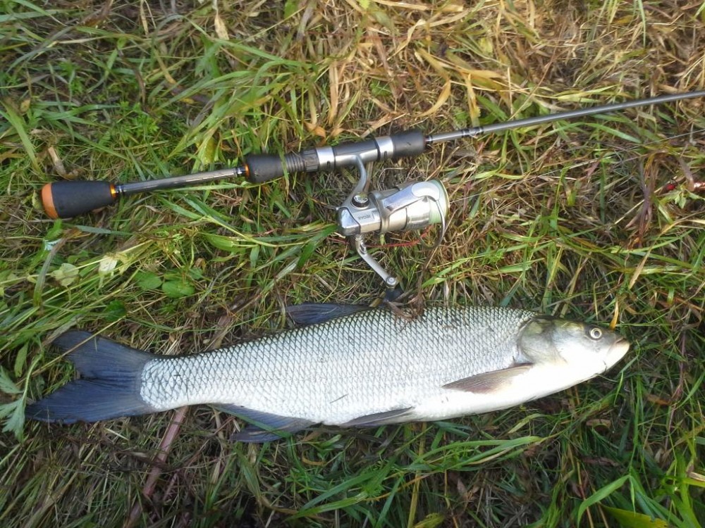 20150924_100917.jpg