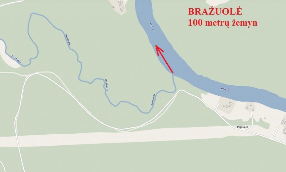 brazuole.jpg